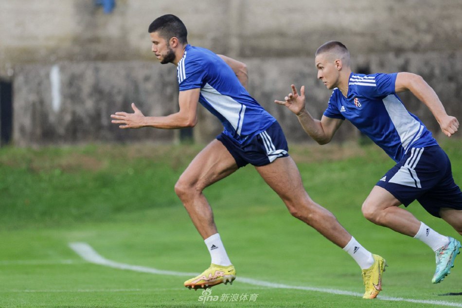 可理解为质 可理解为质