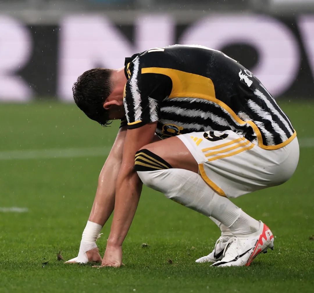 展现其丰富 展现其丰富